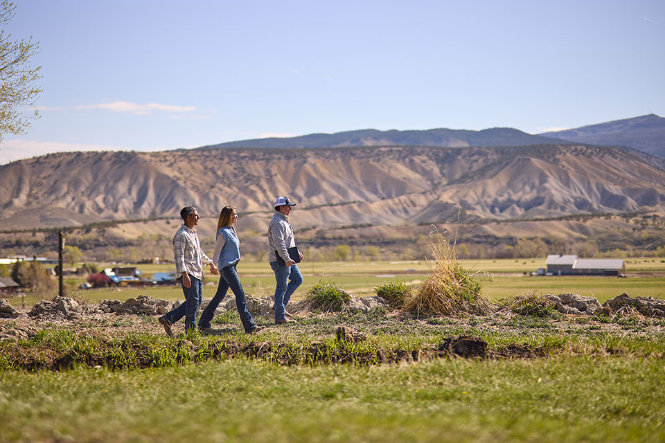 Three people walk in a field with Colorado mountains in the background.