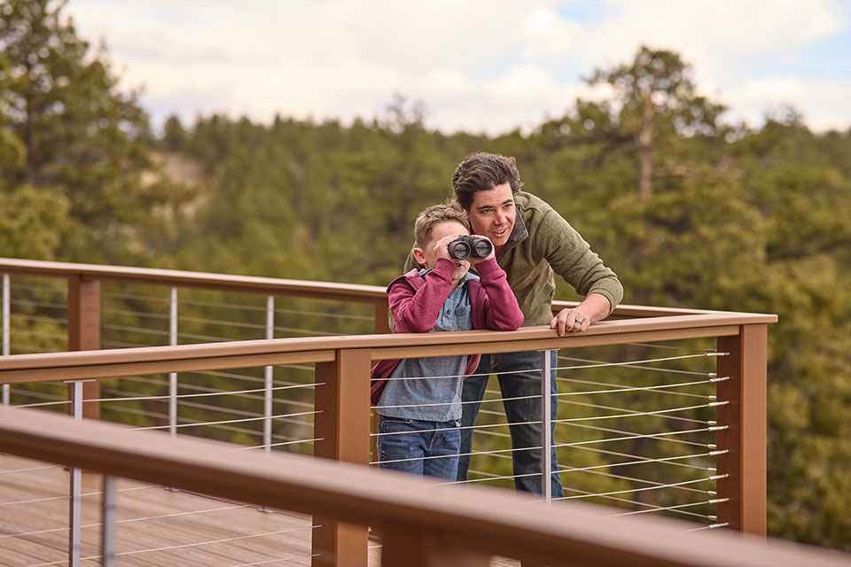 A boy and his parent look through binoculars from a large deck high above the trees in a natural setting.