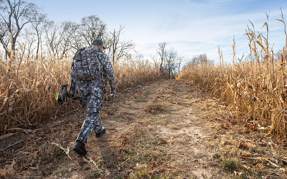 A man in camouflage walking through a cornfield